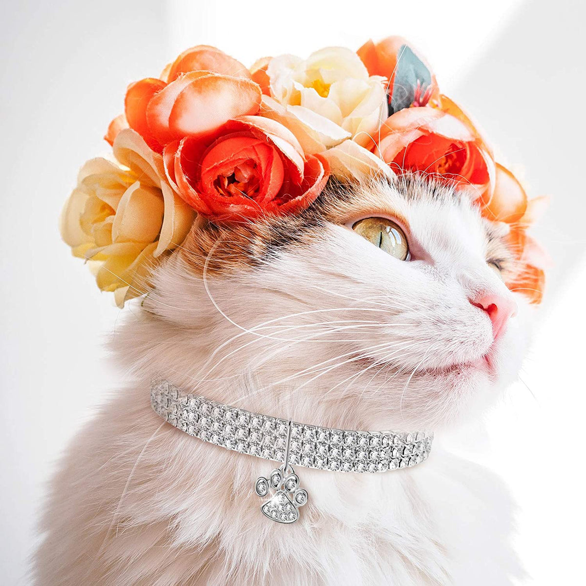 Set of 3 Adjustable Rhinestone Pet Collars with Glitter Pendant for Small Dogs and Cats - Elastic Crystal Necklaces (White)