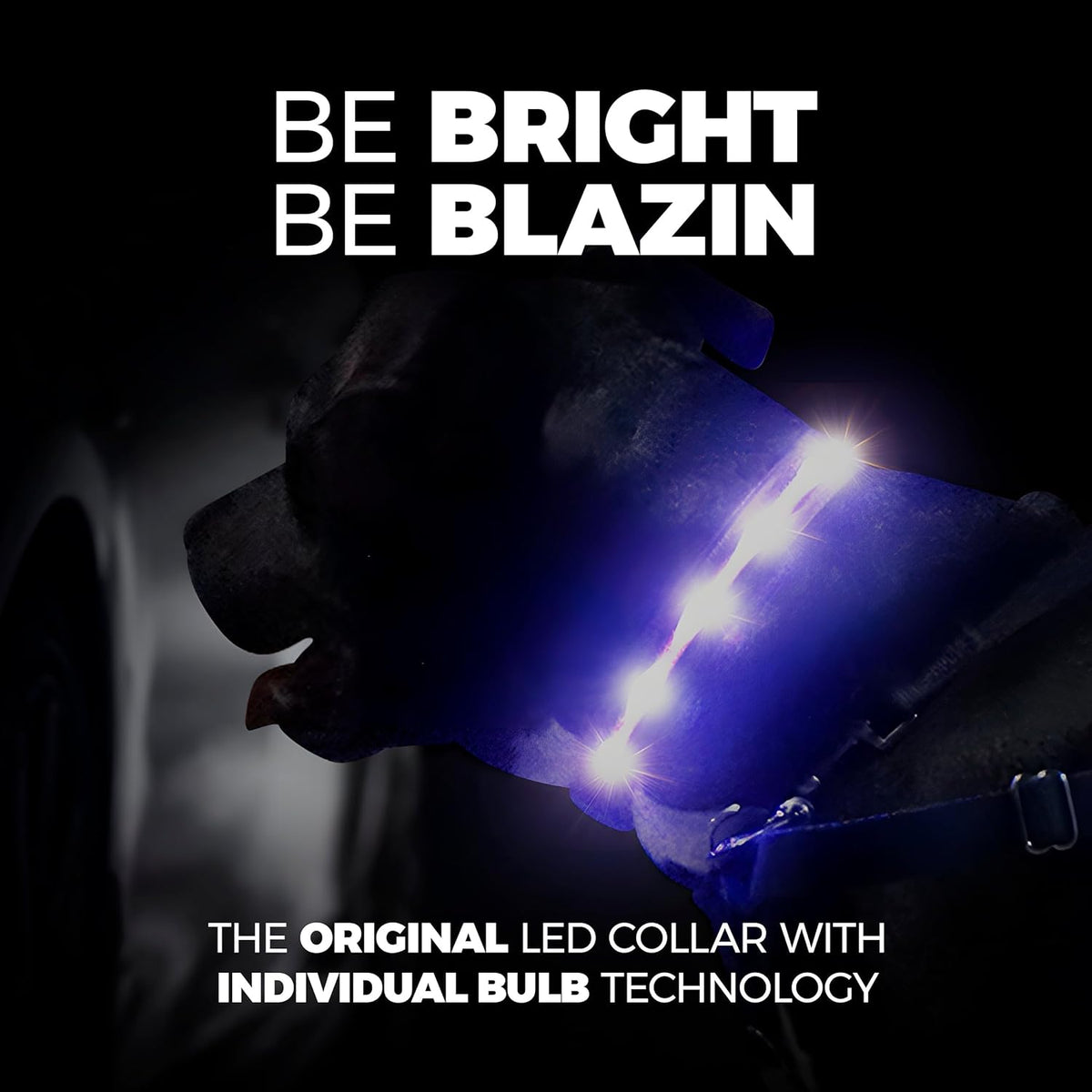 LED Dog Collar - Original USB Rechargeable & Waterproof - 1,000 Feet Visibility - Suitable for Small, Medium, and Large Dogs - USA Brand