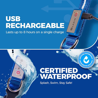 LED Dog Collar - Original USB Rechargeable & Waterproof - 1,000 Feet Visibility - Suitable for Small, Medium, and Large Dogs - USA Brand